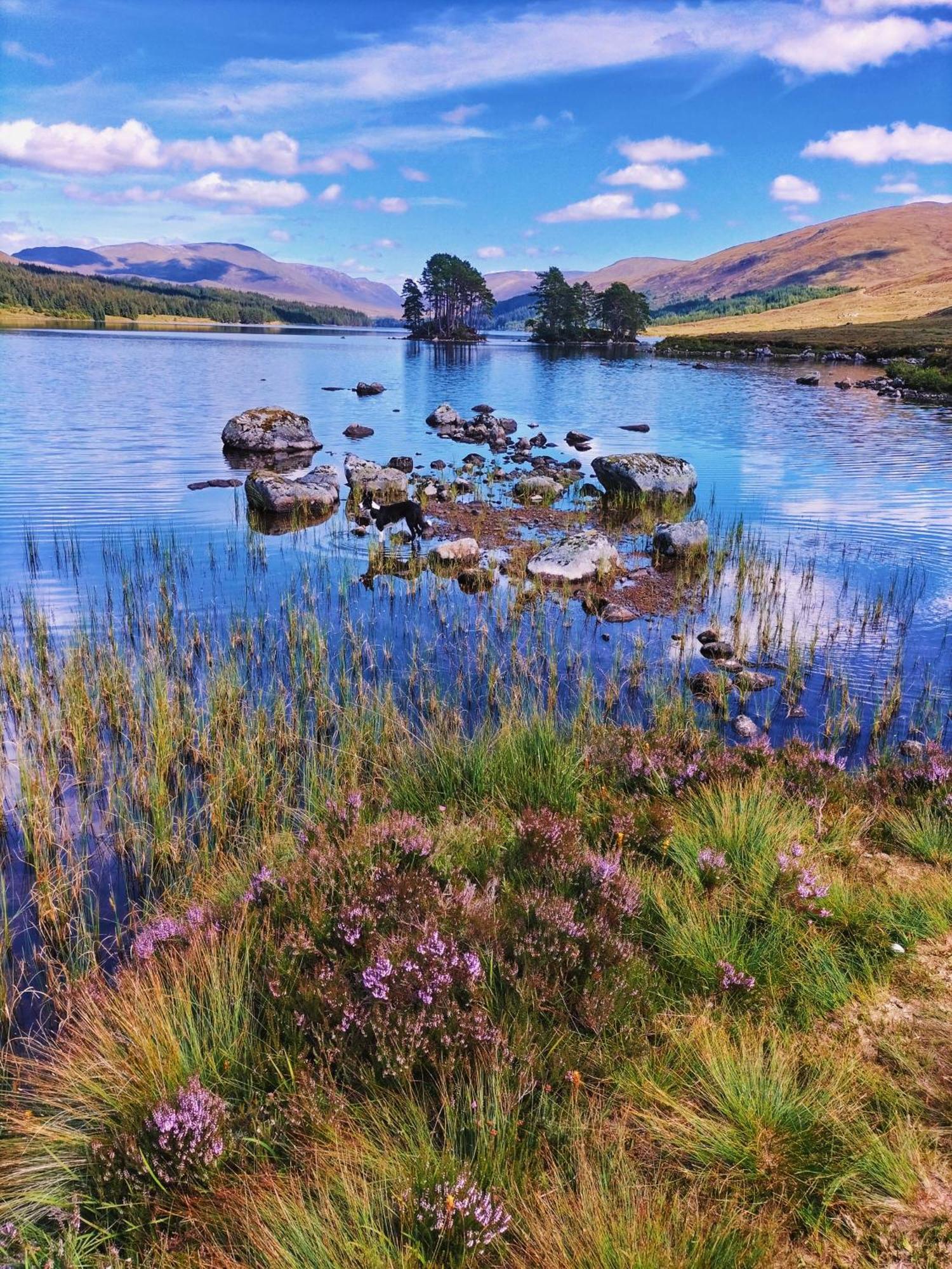 Glenfinnan Retreats Zewnętrze zdjęcie